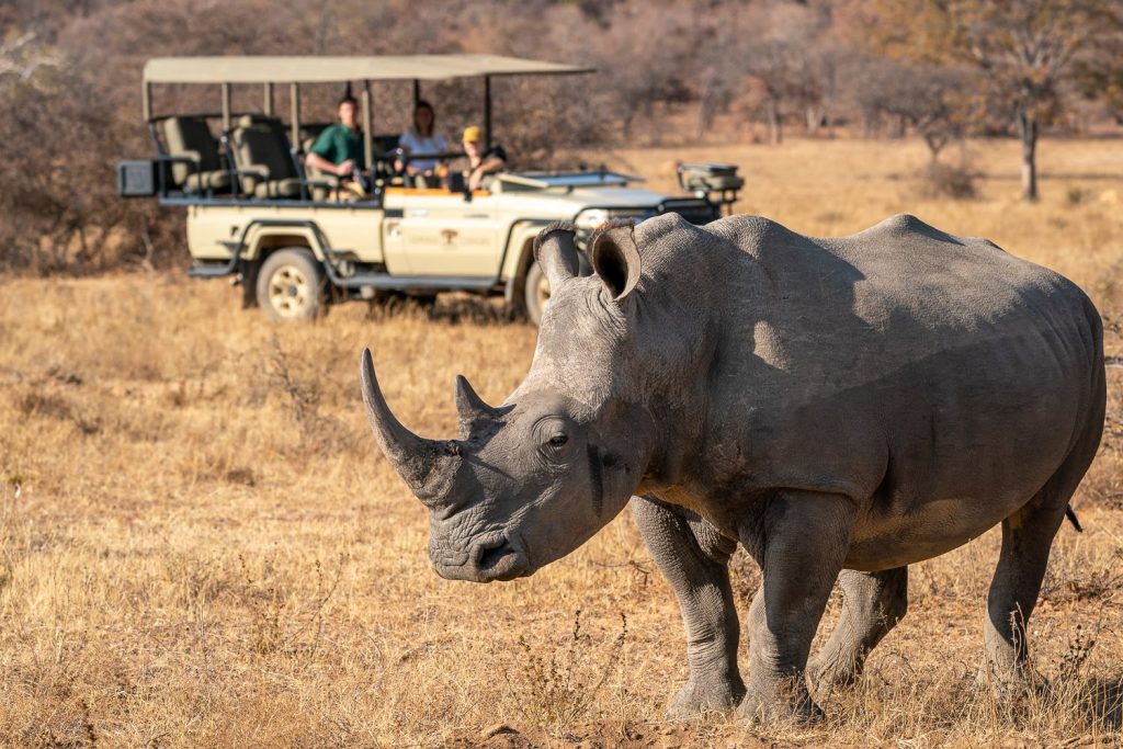 Lepogo Lapalala Safari