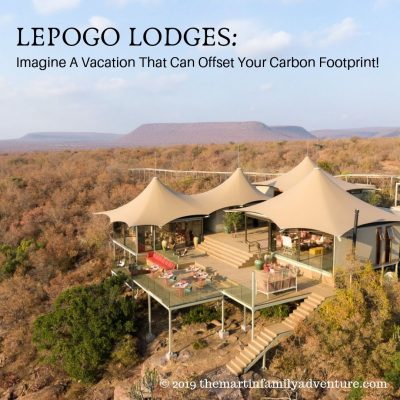 Lepogo Lodges: A Vacation That Can Offset Your Carbon Footprint!