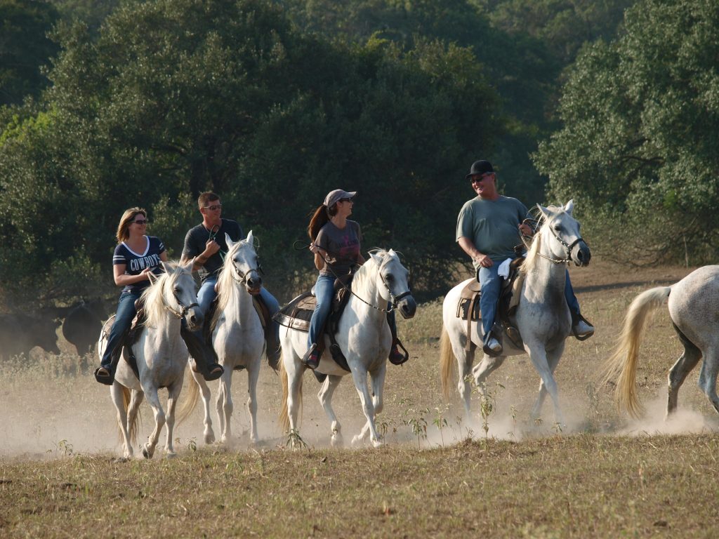 BlissWood Bed and Breakfast Ranch