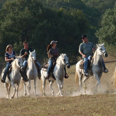 Old Fashioned Christmas – Enjoy Texas Style Holidays On A Ranch