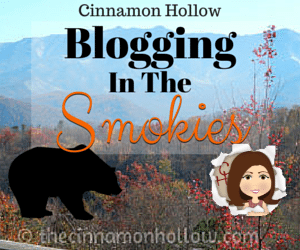 Blogging In The Smokies