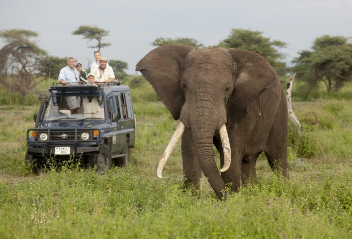 Africa - Natural Habitat Adventures