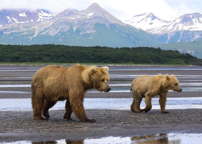 Alaska - Natural Habitat Adventures